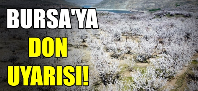 Bursa'ya don uyarısı!