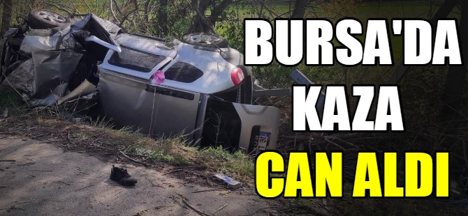Bursa'da kaza can aldı