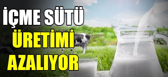 İçme sütü üretimi azalıyor