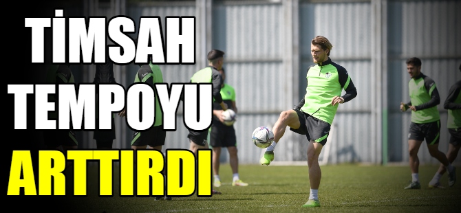 Timsah tempoyu arttırdı