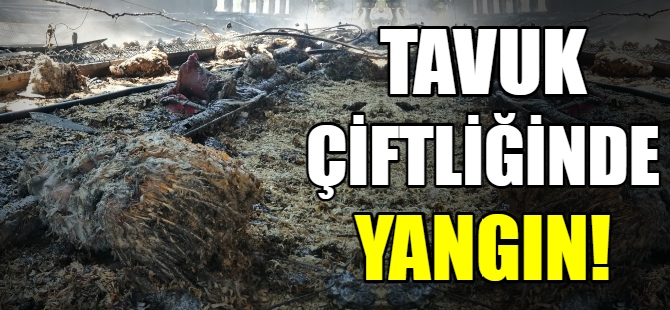 Tavuk çiftliğinde yangın