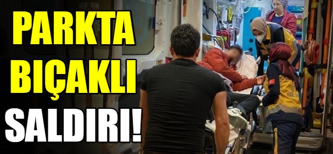Parkta bıçaklı saldırı