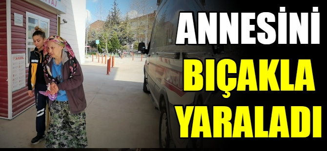 Annesini bıçakla yaraladı