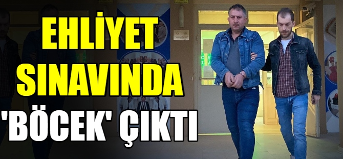 Ehliyet sınavında 'böcek' çıktı