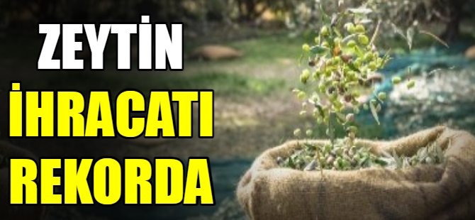 Zeytin ihracatı rekora koşuyor