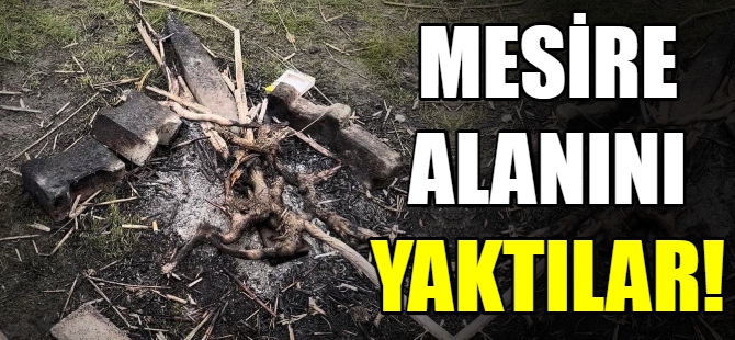 Mesire alanını yaktılar