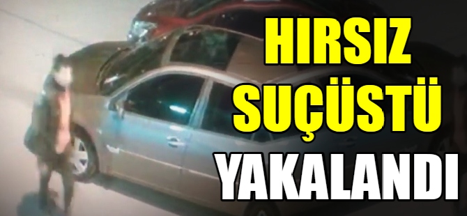 Hırsız suçüstü yakalandı
