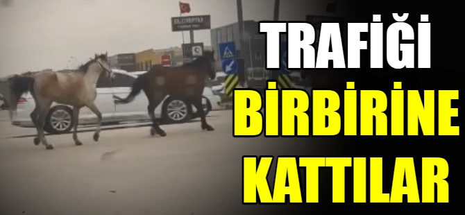 Trafiği birbirine kattılar