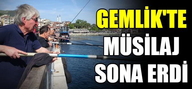 Gemlik’te müsilaj sona erdi