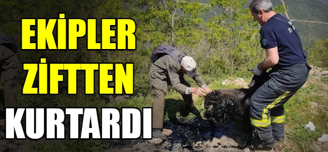 Ekipler ziftten kurtardı