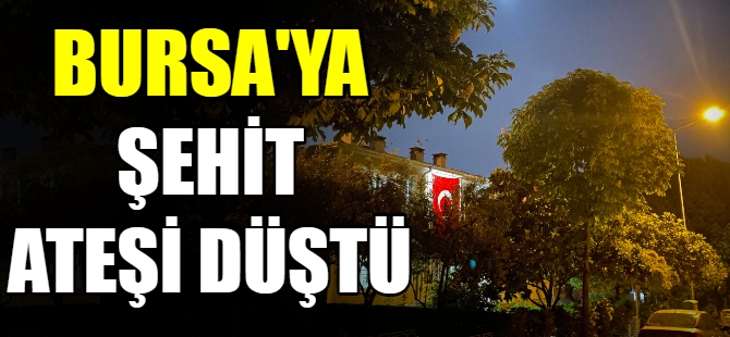 Bursa'ya şehit ateşi düştü