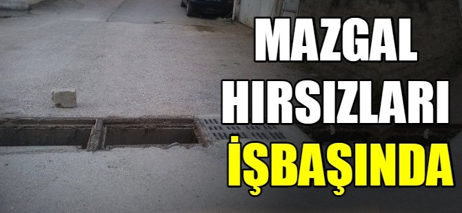 Mazgal hırsızları işbaşında