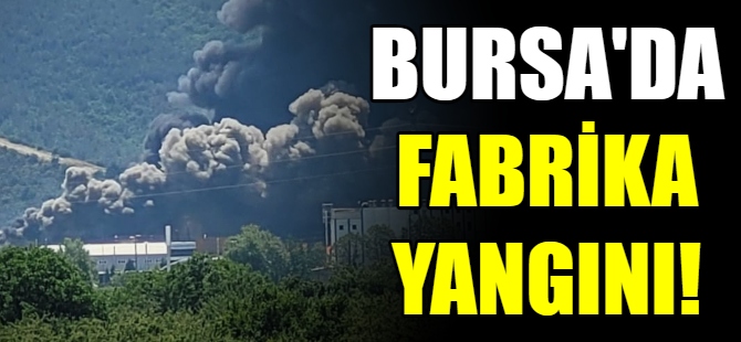 Bursa'da fabrika yangını!
