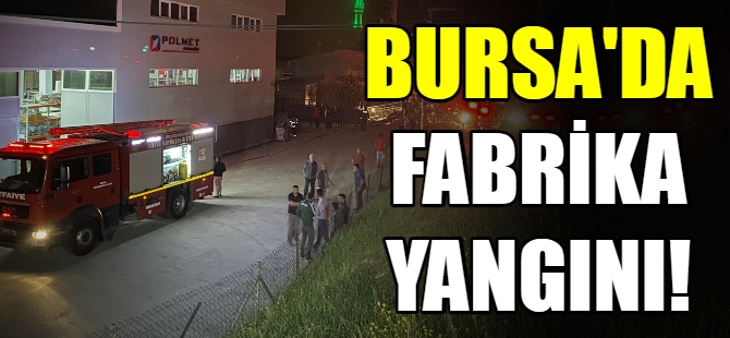 Bursa'da fabrika yangını