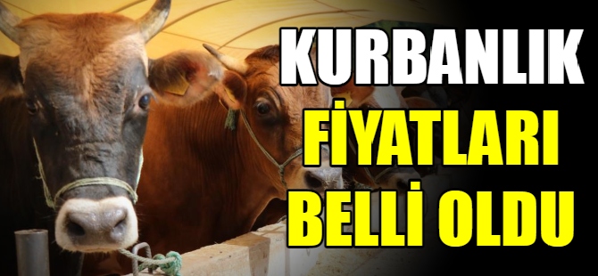 Kurbanlık fiyatları belli oldu