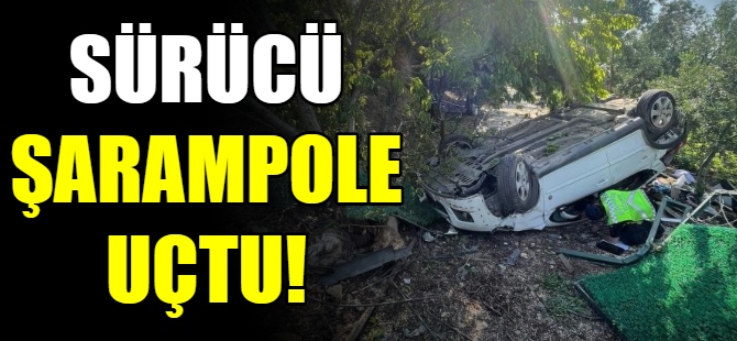 Sürücü şarampole uçtu