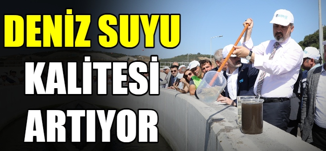 Deniz suyu kalitesi artıyor