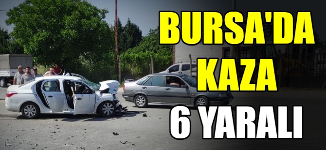 Bursa'da kafa kafaya kaza