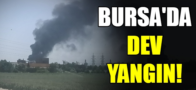 Bursa'da dev yangın