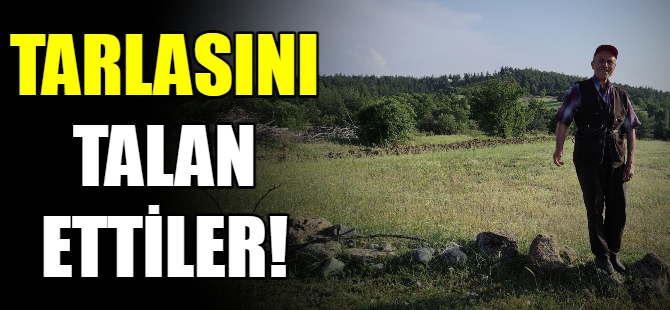 Tarlasını talan ettiler