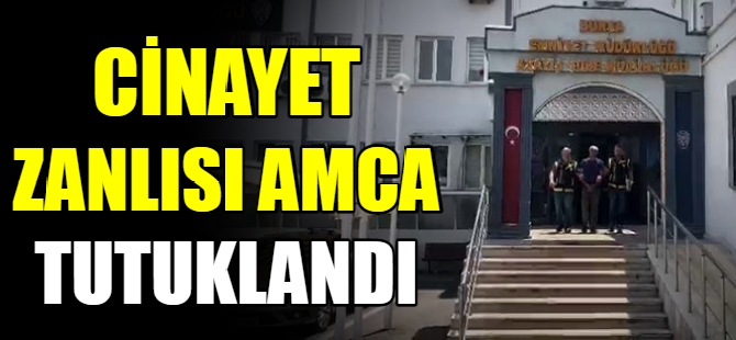 Cinayet zanlısı amca tutuklandı