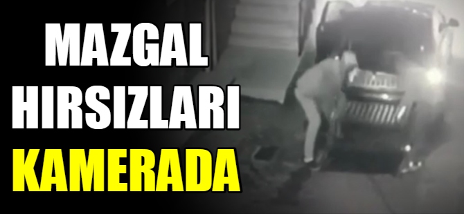 Mazgal hırsızları kamerada