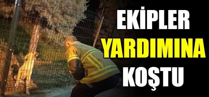 Ekipler yardımına koştu