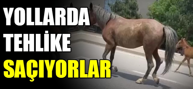 Yollarda tehlike saçıyorlar