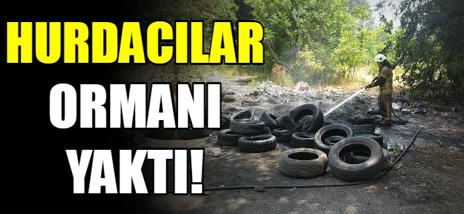 Hurdacılar ormanı yaktı