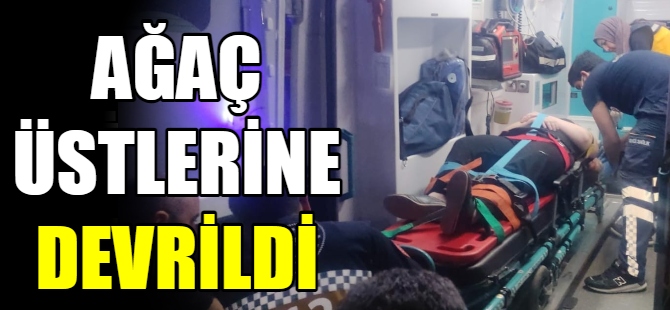 Çam ağacı ailenin üzerine devrildi