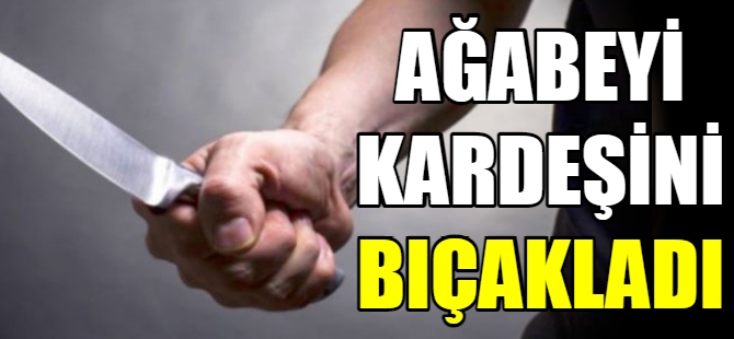 Ağabeyi kardeşini bıçakladı