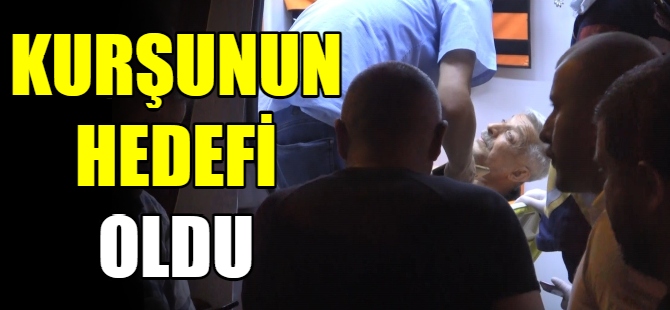 Bursa'da yaşlı adamı vurdular