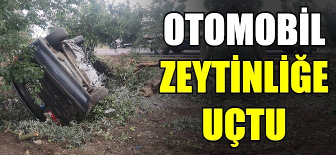 Otomobil zeytinliğe uçtu