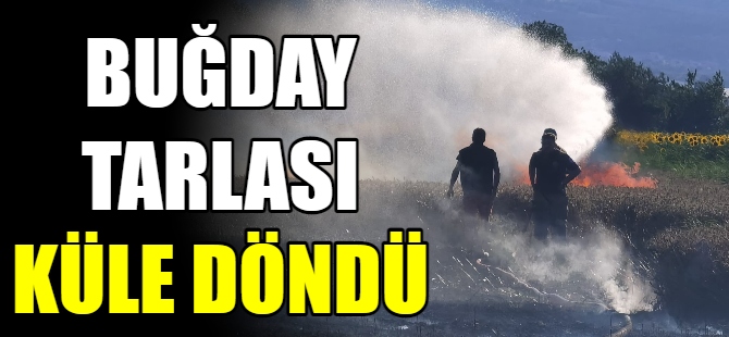 Buğday tarlası küle döndü