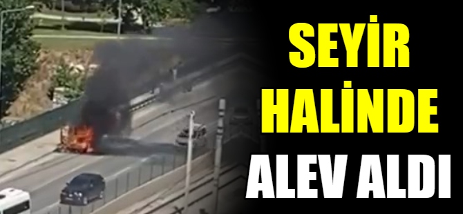 Seyir halindeki kamyonet alev aldı