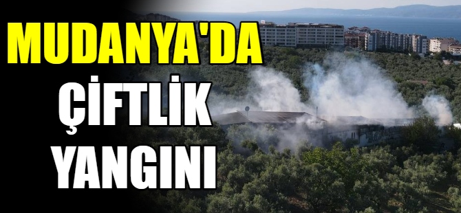 Mudanya'da çiftlik yangını