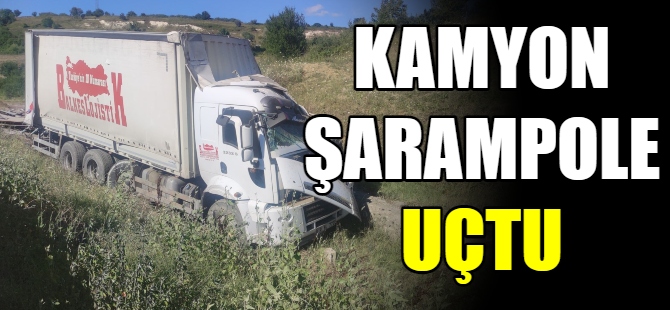 Kamyon şarampole uçtu