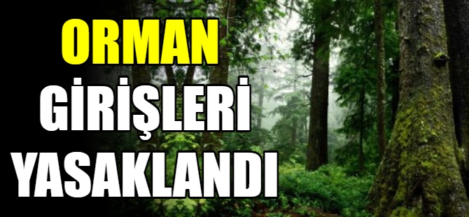 Orman alanlarına girişler yasaklandı