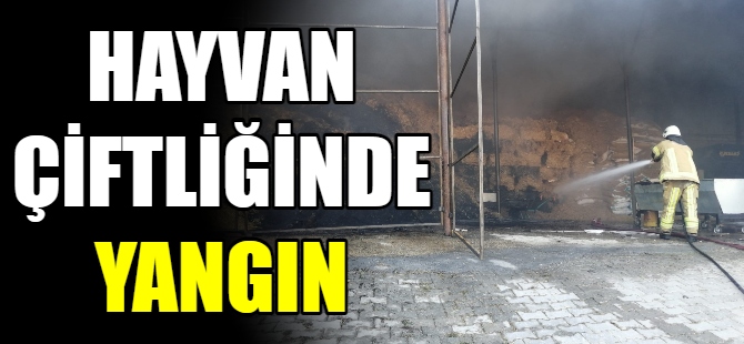 Hayvan çiftliğinde yangın