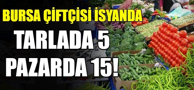 Tarlada 5 pazarda 15!