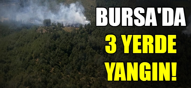 Bursa'da 3 yerde orman yangını