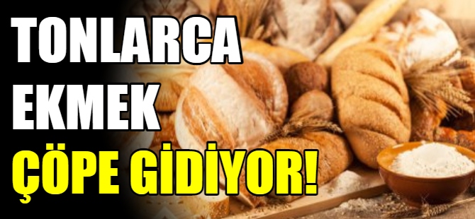 Her yıl tonlarca ekmek çöpe gidiyor