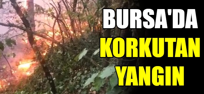 Bursa'da korkutan yangın