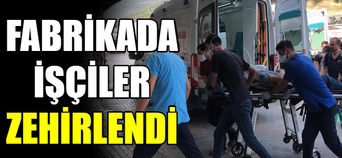 Fabrikada işçiler zehirlendi