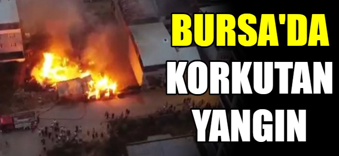 Bursa'da korkutan yangın