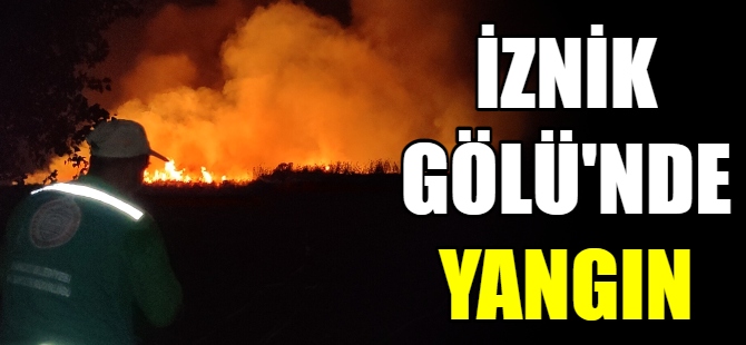 İznik Gölü'nde yangın