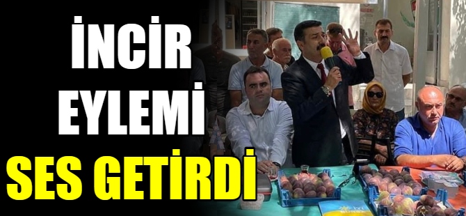 İYİ Parti'nin incir eylemi ses getirdi