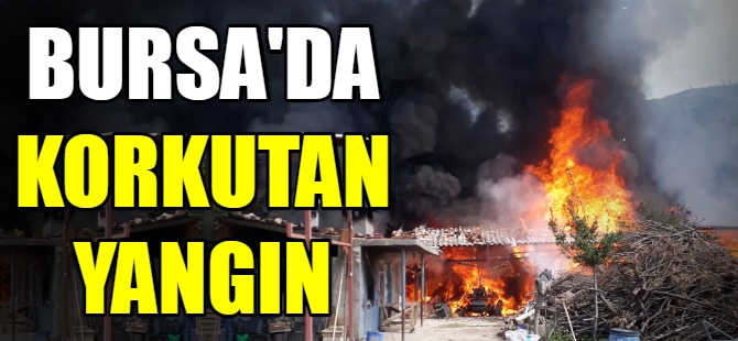 Bursa'da korkutan yangın