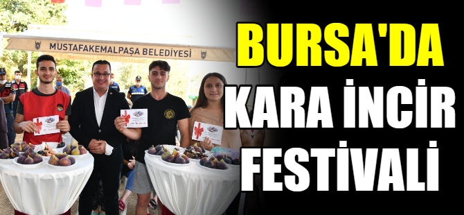 Bursa'da kara incir festivali