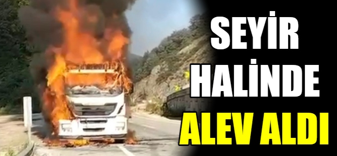 TIR seyir halinde alev aldı